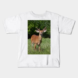 Velvety Buck - White-tailed deer Kids T-Shirt